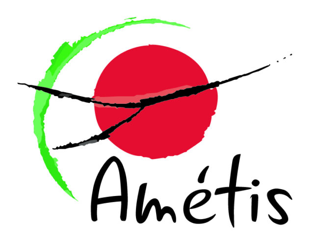 Logo Amétis 2016 Logo Amétis 2016