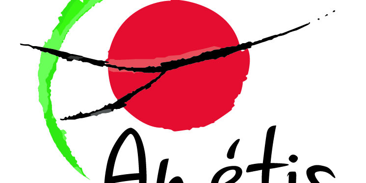 Logo Amétis 2016 Logo Amétis 2016