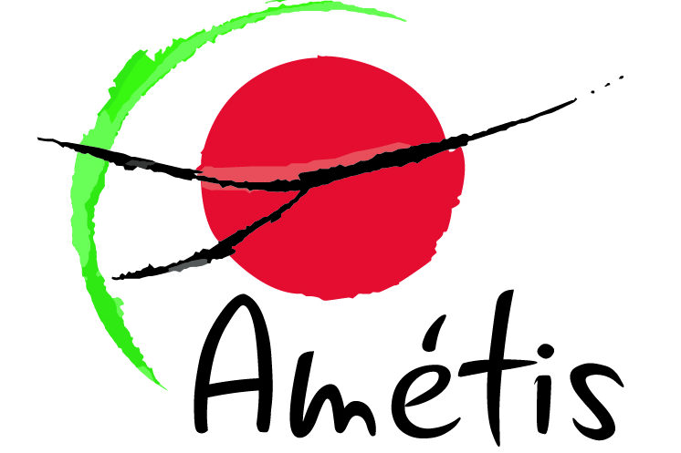 Logo Amétis 2016